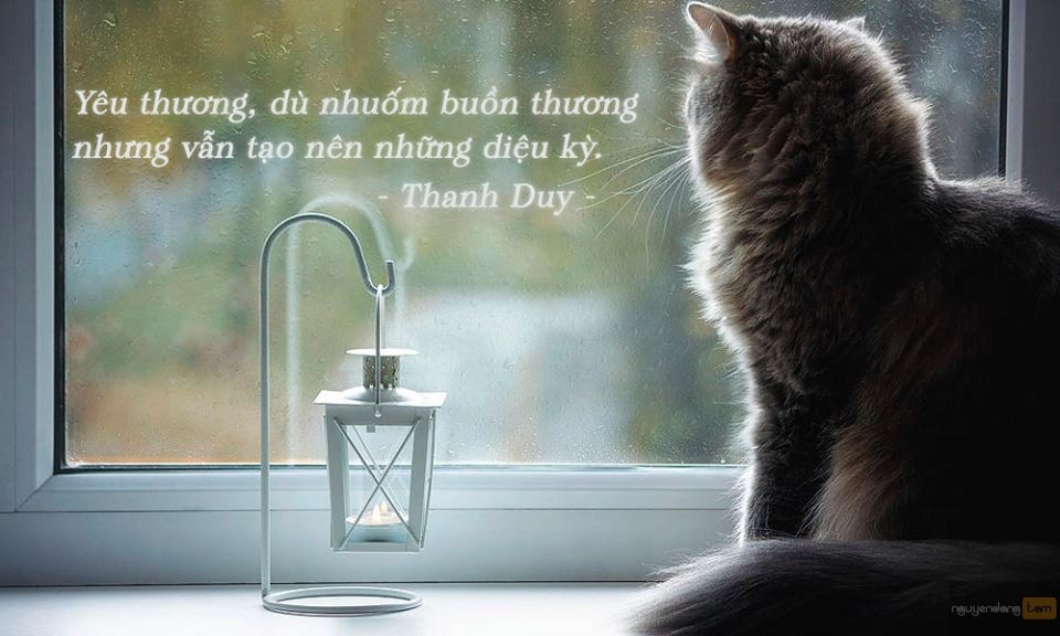 Review Có hai con mèo ngồi bên cửa sổ - Nguyễn Nhật Ánh]